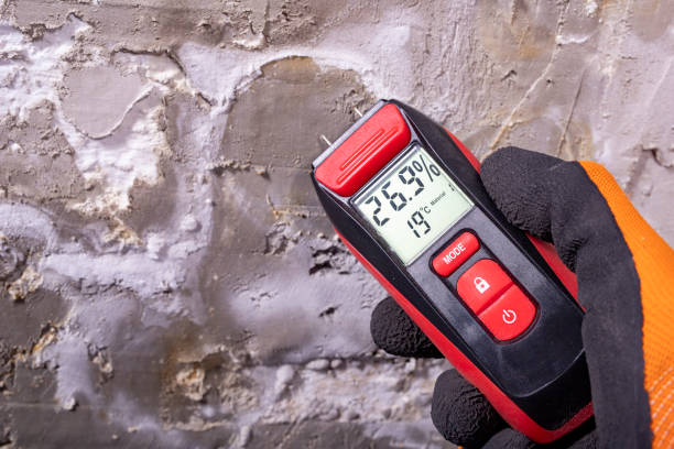 Reliable Jerome, IL Mold Remediation Solutions